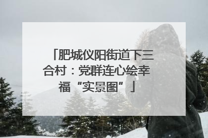 肥城仪阳街道下三合村：党群连心绘幸福“实景图”