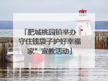 肥城桃园镇举办“守住钱袋子护好幸福家”宣教活动