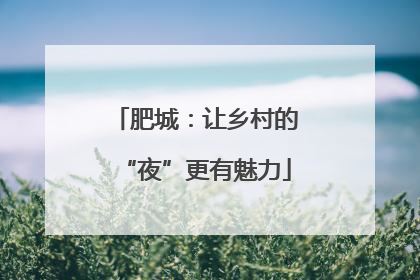 肥城：让乡村的“夜”更有魅力