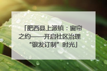 肥西县上派镇：窗帘之约——开启社区治理“银发订制”时光