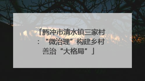 腾冲市清水镇三家村：“微治理”构建乡村善治“大格局”