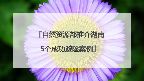 自然资源部推介湖南5个成功避险案例