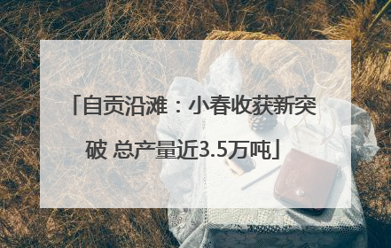 自贡沿滩：小春收获新突破 总产量近3.5万吨