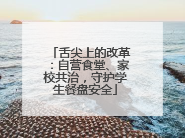 舌尖上的改革：自营食堂、家校共治，守护学生餐盘安全