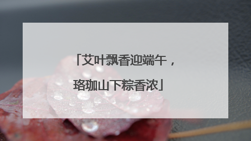 艾叶飘香迎端午，珞珈山下粽香浓