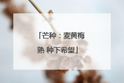 芒种：麦黄梅熟 种下希望