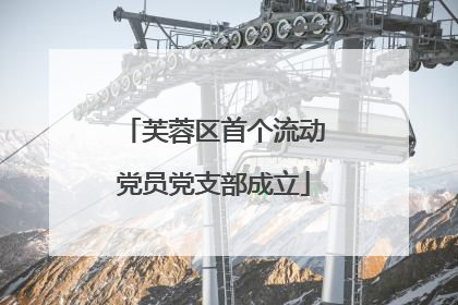 芙蓉区首个流动党员党支部成立