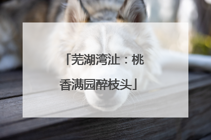 芜湖湾沚：桃香满园醉枝头