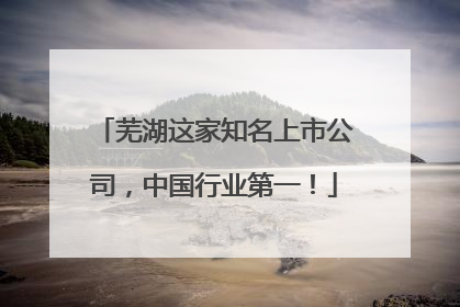 芜湖这家知名上市公司，中国行业第一！