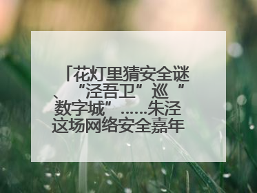 花灯里猜安全谜、“泾吾卫”巡“数字城”……朱泾这场网络安全嘉年华太会玩了