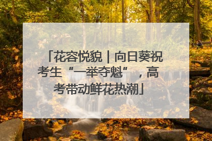 花容悦貌｜向日葵祝考生“一举夺魁”，高考带动鲜花热潮