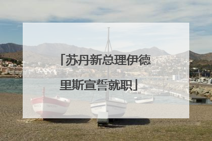 苏丹新总理伊德里斯宣誓就职