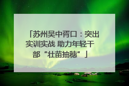 苏州吴中胥口：突出实训实战 助力年轻干部“壮苗抽穗”