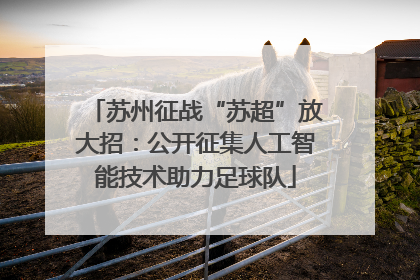 苏州征战“苏超”放大招：公开征集人工智能技术助力足球队