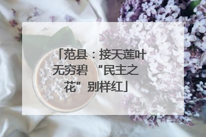 范县：接天莲叶无穷碧 “民主之花”别样红