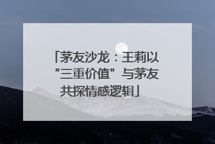 茅友沙龙：王莉以“三重价值”与茅友共探情感逻辑