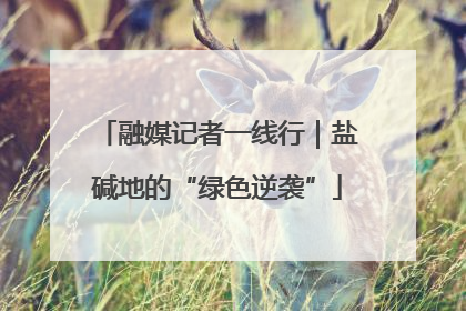 融媒记者一线行｜盐碱地的“绿色逆袭”