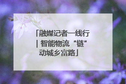 融媒记者一线行｜智能物流“链”动城乡富路