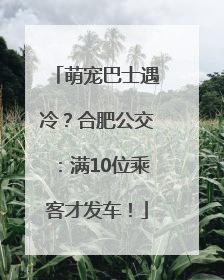萌宠巴士遇冷？合肥公交：满10位乘客才发车！