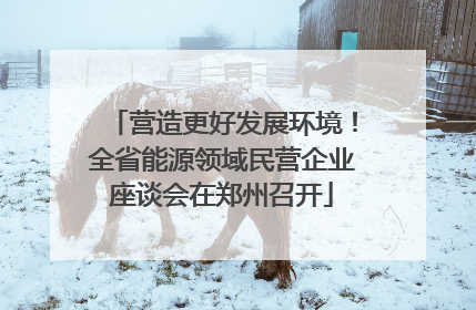 营造更好发展环境！全省能源领域民营企业座谈会在郑州召开
