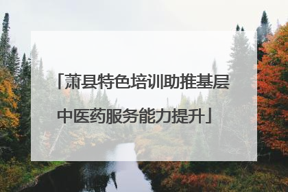 萧县特色培训助推基层中医药服务能力提升