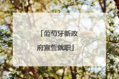葡萄牙新政府宣誓就职