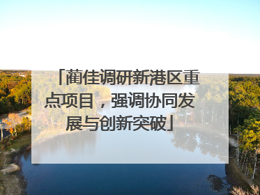 蔺佳调研新港区重点项目，强调协同发展与创新突破