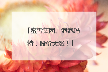 蜜雪集团、泡泡玛特，股价大涨！