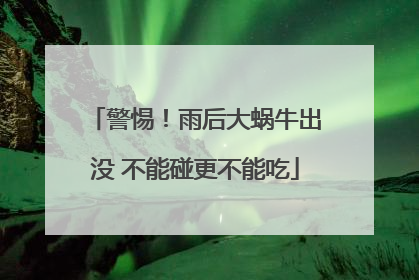警惕！雨后大蜗牛出没 不能碰更不能吃