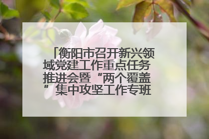 衡阳市召开新兴领域党建工作重点任务推进会暨“两个覆盖”集中攻坚工作专班 第一次会议