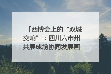 西博会上的“双城交响”：四川六市州共展成渝协同发展画卷｜西博视界