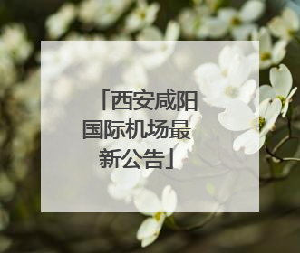 西安咸阳国际机场最新公告