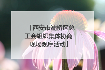 西安市灞桥区总工会组织集体协商现场观摩活动