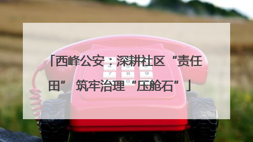 西峰公安：深耕社区“责任田” 筑牢治理“压舱石”