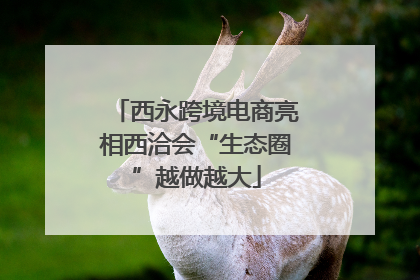 西永跨境电商亮相西洽会“生态圈”越做越大