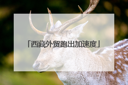 西藏外贸跑出加速度