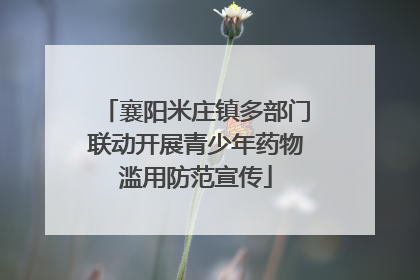 襄阳米庄镇多部门联动开展青少年药物滥用防范宣传