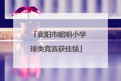 襄阳市昭明小学球类竞赛获佳绩