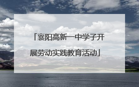 襄阳高新一中学子开展劳动实践教育活动