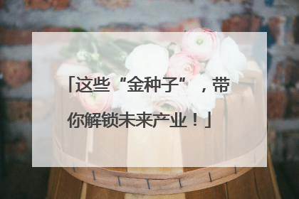 这些“金种子”，带你解锁未来产业！