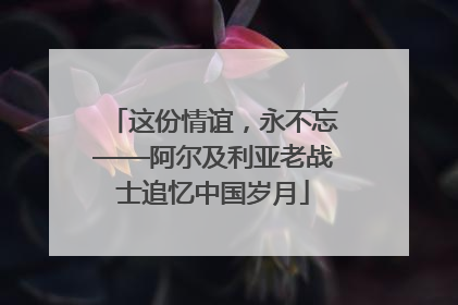 这份情谊，永不忘——阿尔及利亚老战士追忆中国岁月