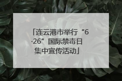 连云港市举行“6·26”国际禁毒日集中宣传活动
