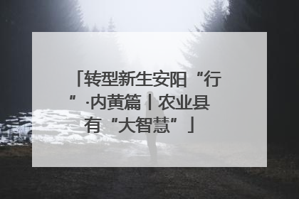 转型新生安阳“行”·内黄篇丨农业县有“大智慧”