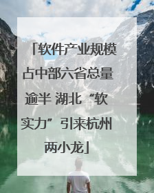 软件产业规模占中部六省总量逾半 湖北“软实力”引来杭州两小龙