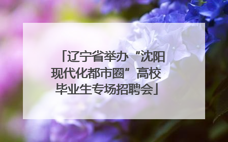 辽宁省举办“沈阳现代化都市圈”高校毕业生专场招聘会