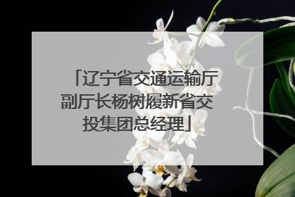 辽宁省交通运输厅副厅长杨树履新省交投集团总经理