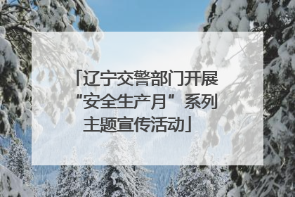 辽宁交警部门开展“安全生产月”系列主题宣传活动