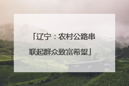 辽宁：农村公路串联起群众致富希望