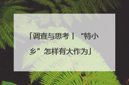 调查与思考丨“特小乡”怎样有大作为