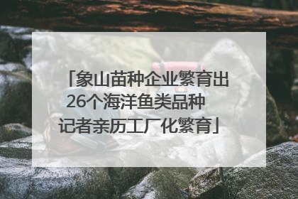象山苗种企业繁育出26个海洋鱼类品种 记者亲历工厂化繁育